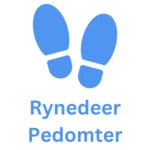 rynedeer pedometer android application logo